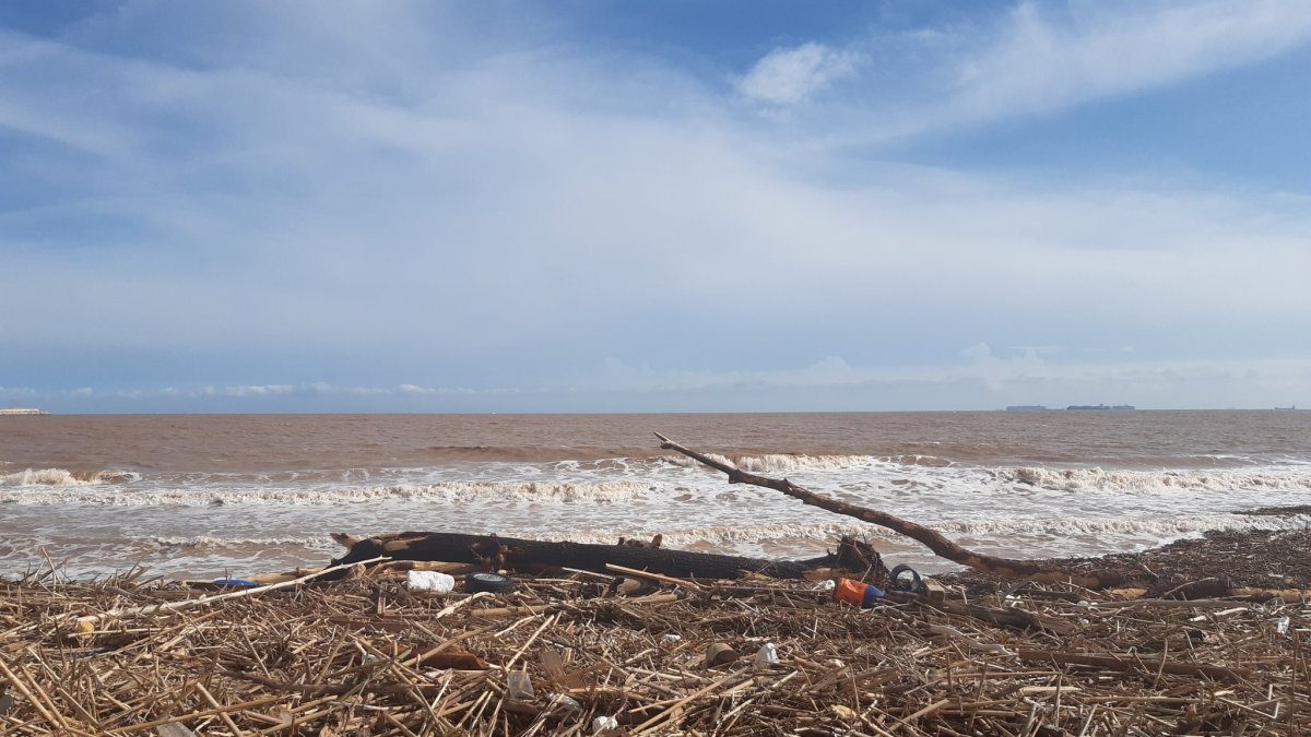 Pinedo