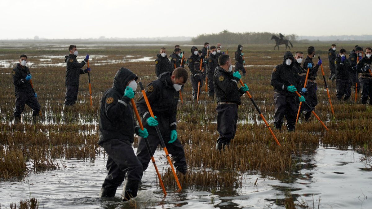 Varios agentes de la Guardia Civil siguen buscando cuerpos en la Albufera, a 15 de noviembre de 2024