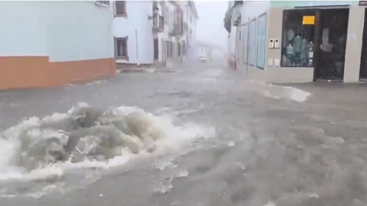 Bollullos Par del Condado (Huelva).