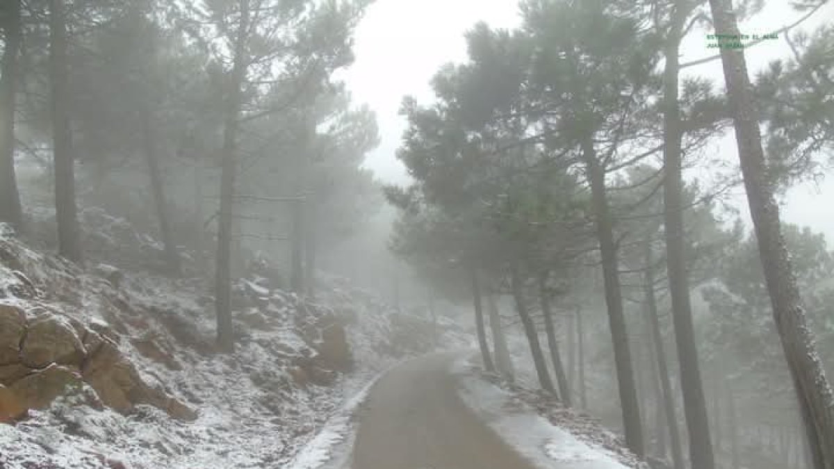 Primeras nieves en Sierra Bermeja, Málaga.