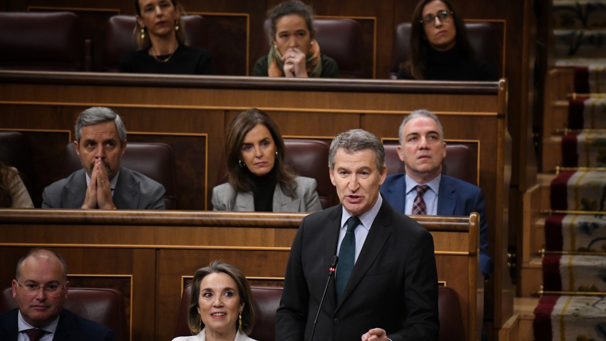 El presidente del PP, Alberto Núñez Feijóo, interviene durante una sesión de control al Gobierno en el Congreso de los Diputados..

Fernando Sánchez / Europa Press  11/12/2024