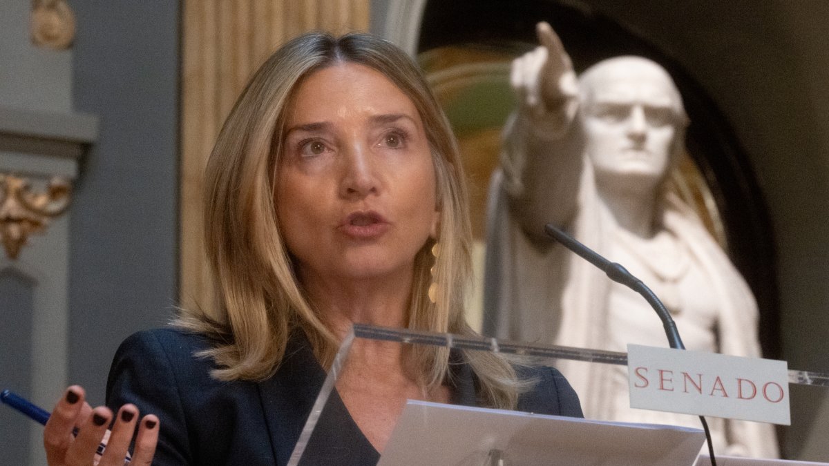 La portavoz del PP en el Senado, Alicia García