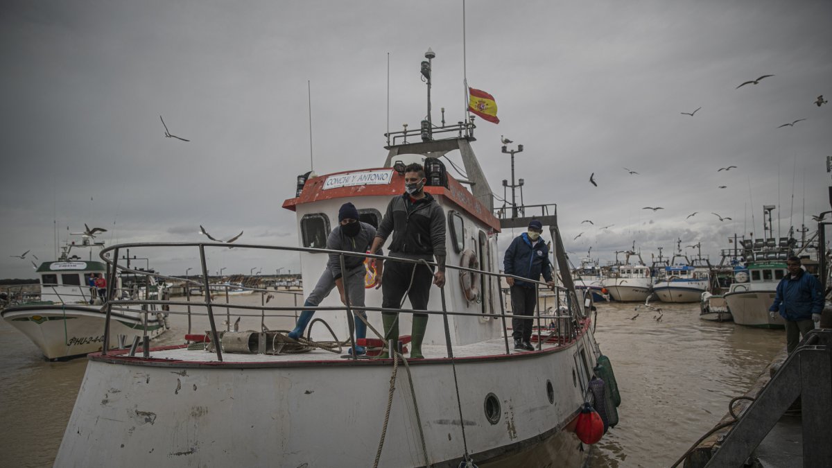 Marineros y pescadores en la lonja de Sanlúcar de Barrameda, Cádiz.