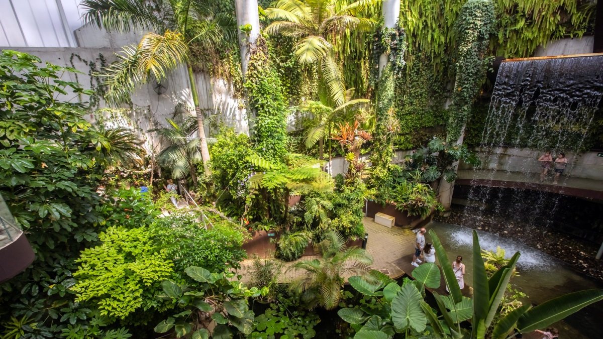 El Parque Botánico-Orquidario de Estepona