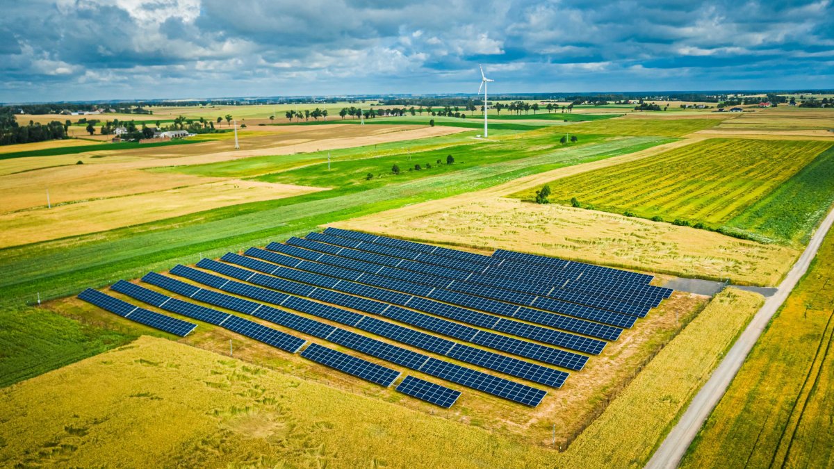 Paneles de energía solar fotovoltaica.
19/3/2024