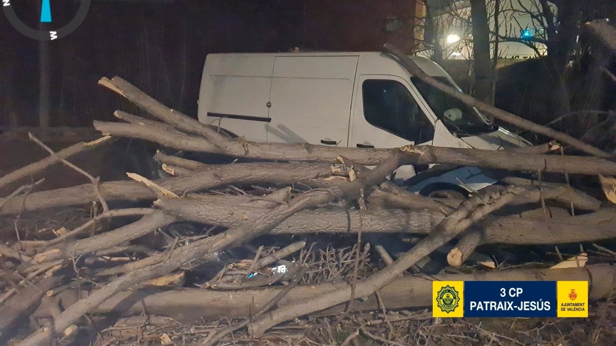 Árbol caído en Valencia