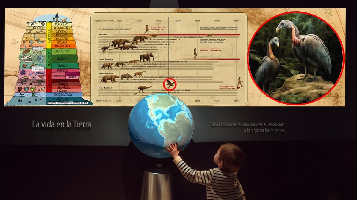Museo de Ciencias Naturales de Valencia