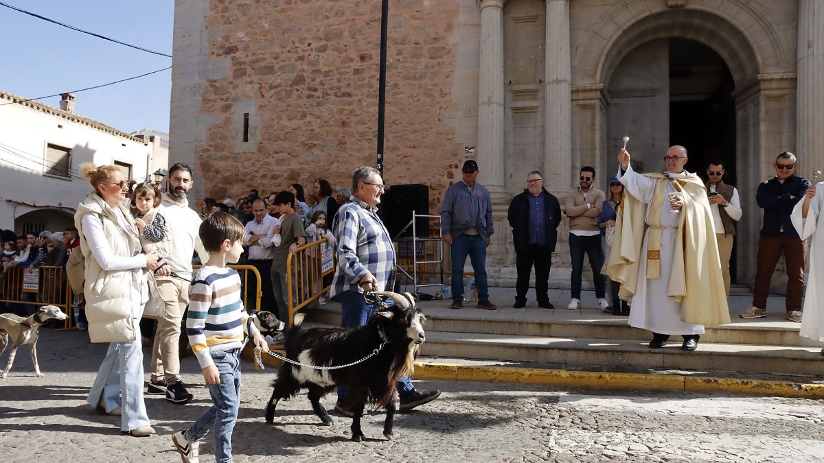 Bendición de animales de Sant Antoni de Puçol