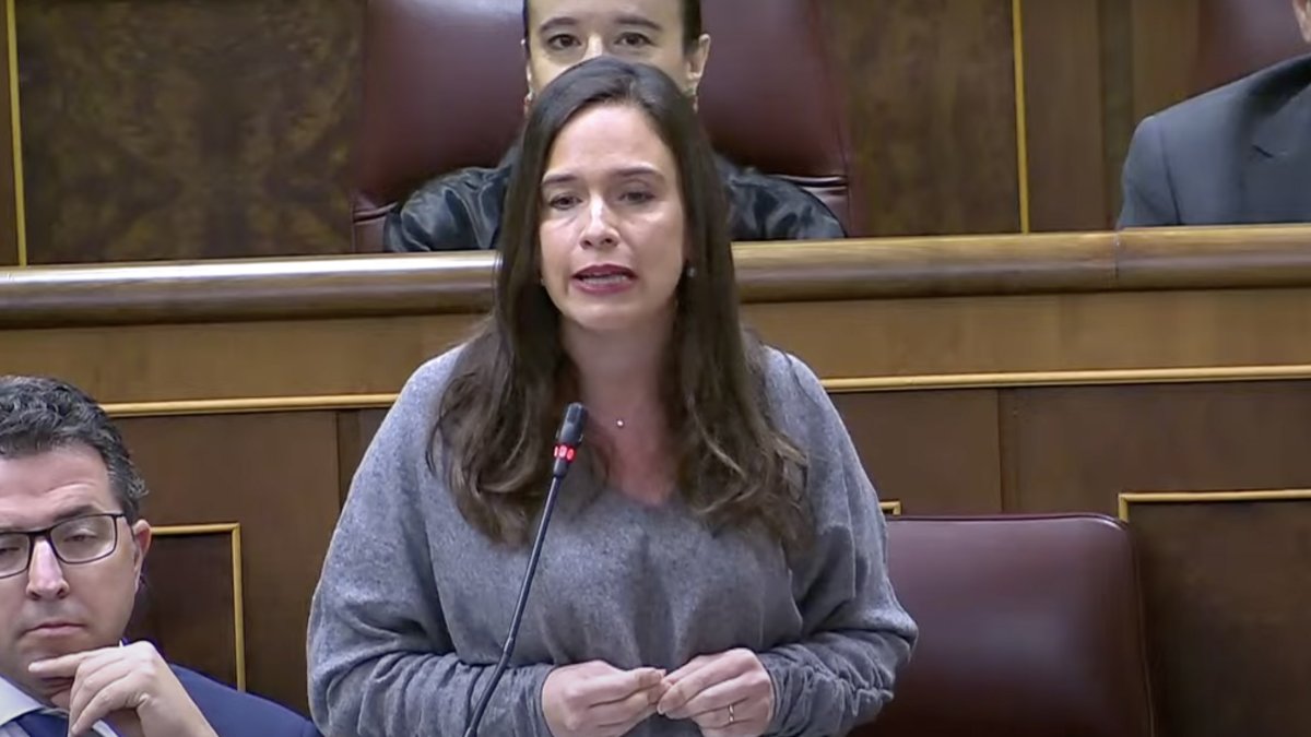 La diputada del PP, Belén Hoyo