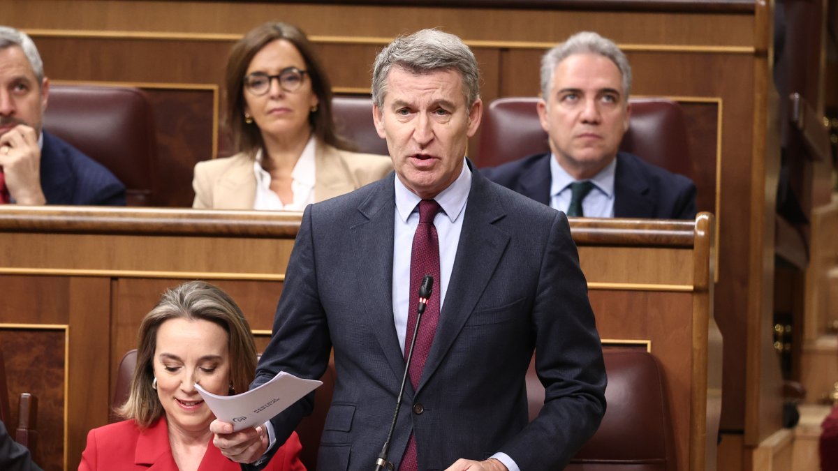 El presidente del PP, Alberto Núñez Feijóo, interviene durante una sesión de control al Gobierno, en el Congreso de los Diputados, a 19 de marzo de 2025, en Madrid (España).