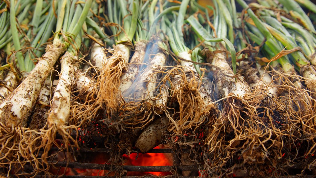 Calçots brasa de Valls, Tarragona