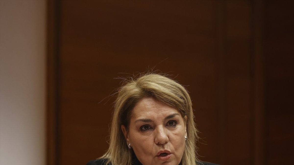 La vicepresidenta y consellera de Servicios Sociales, Igualdad y Vivienda, Susana Camarero