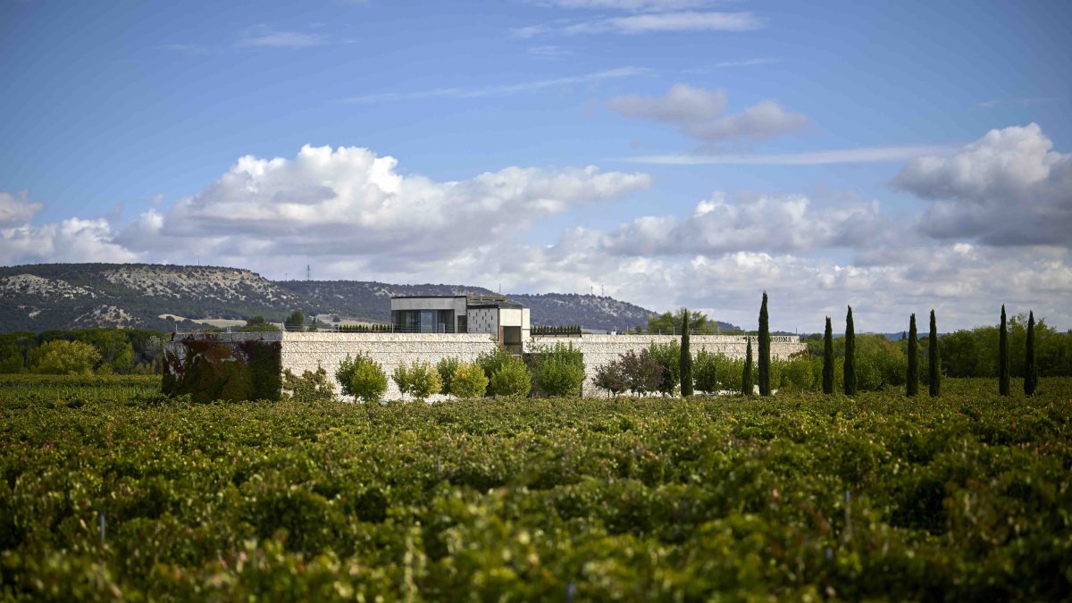Bodega Finca Rodma