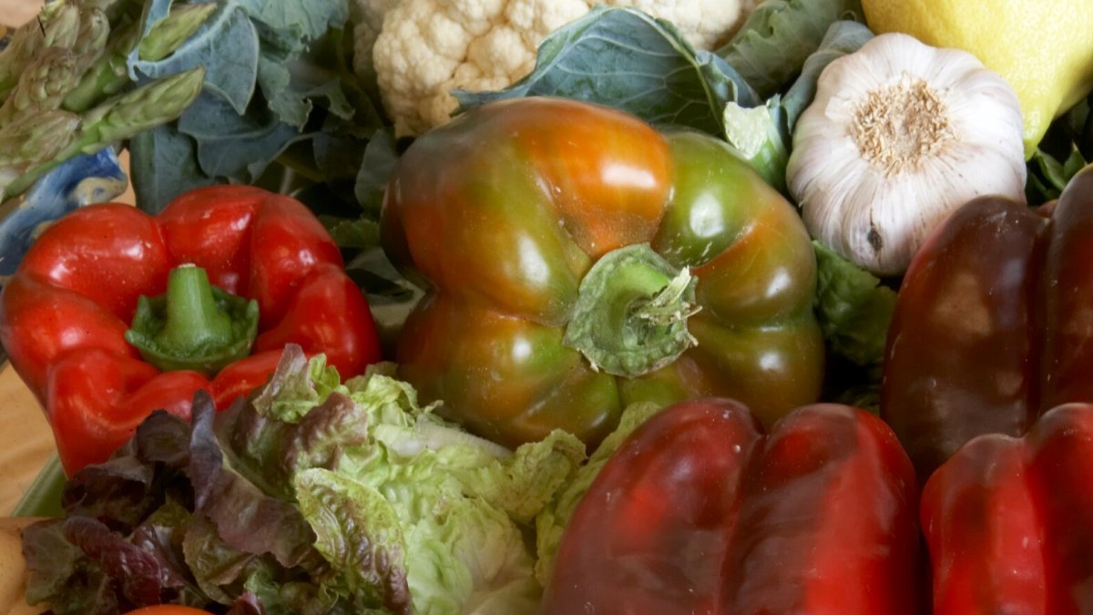 Nota De Prensa Y Foto: Las Exportaciones Andaluzas Registran 3.400 Millones De Euros En Enero De 2025.