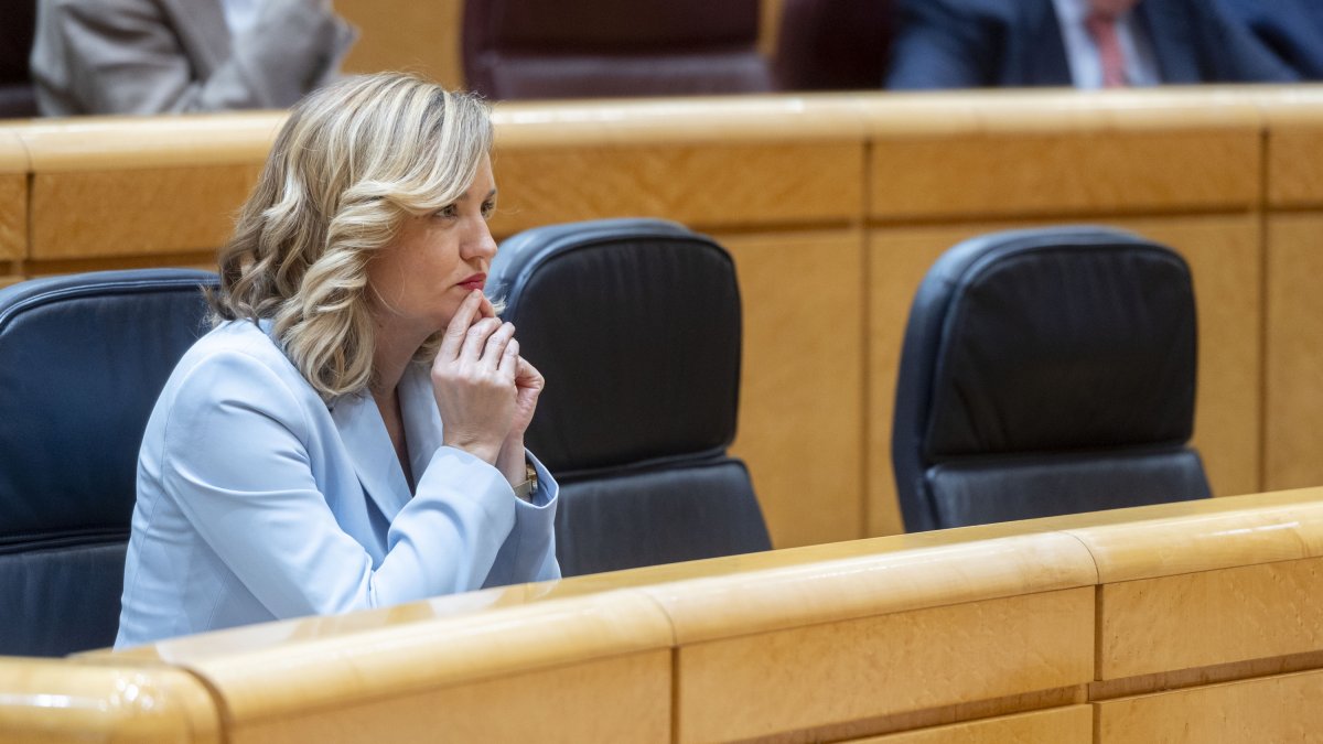 La ministra de Educación, Formación Profesional y Deportes, Pilar Alegría, durante una sesión de control en el Senado.