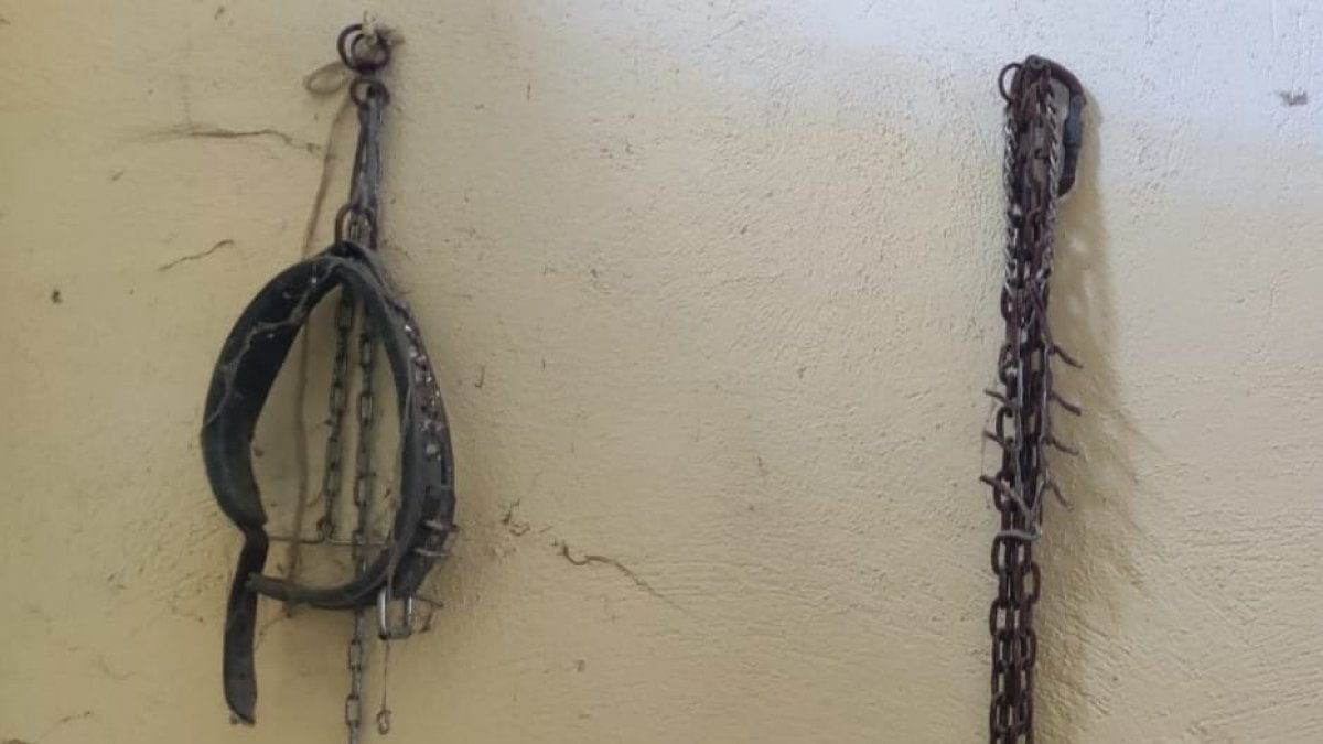 Cadenas y collar