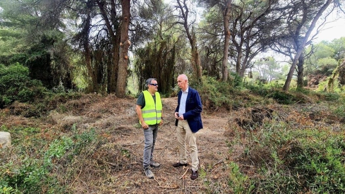 José Gosálbez, concejal de Devesa-Albufera,