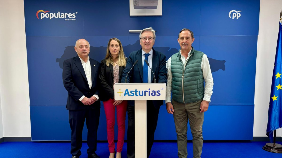 Imagen durante de la rueda de prensa ofrecida este viernes por los senadores Pablo González, Lito Rodríguez y José Manuel Fernández, y la diputada regional Cristina Vega.