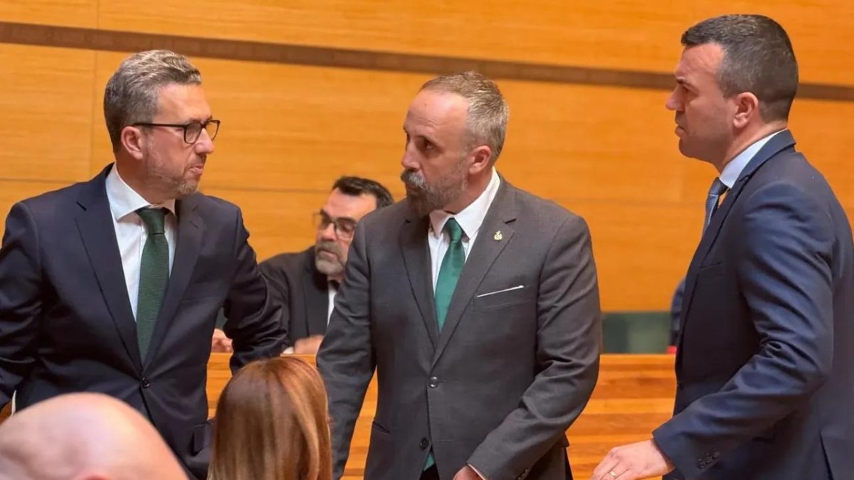 Los dos diputados de Vox en la Diputación, Sergio Herrera y Sergio Pastor, hablan con el presidente, Vicent Mompó