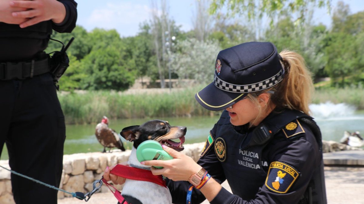 Agente de Policía Local de Valencia