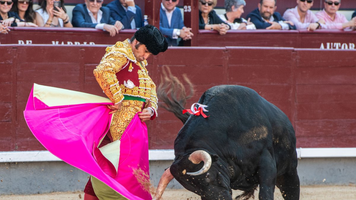 Espectacular media verónica de Morante de la Puebla. Alfredo Arévalo.