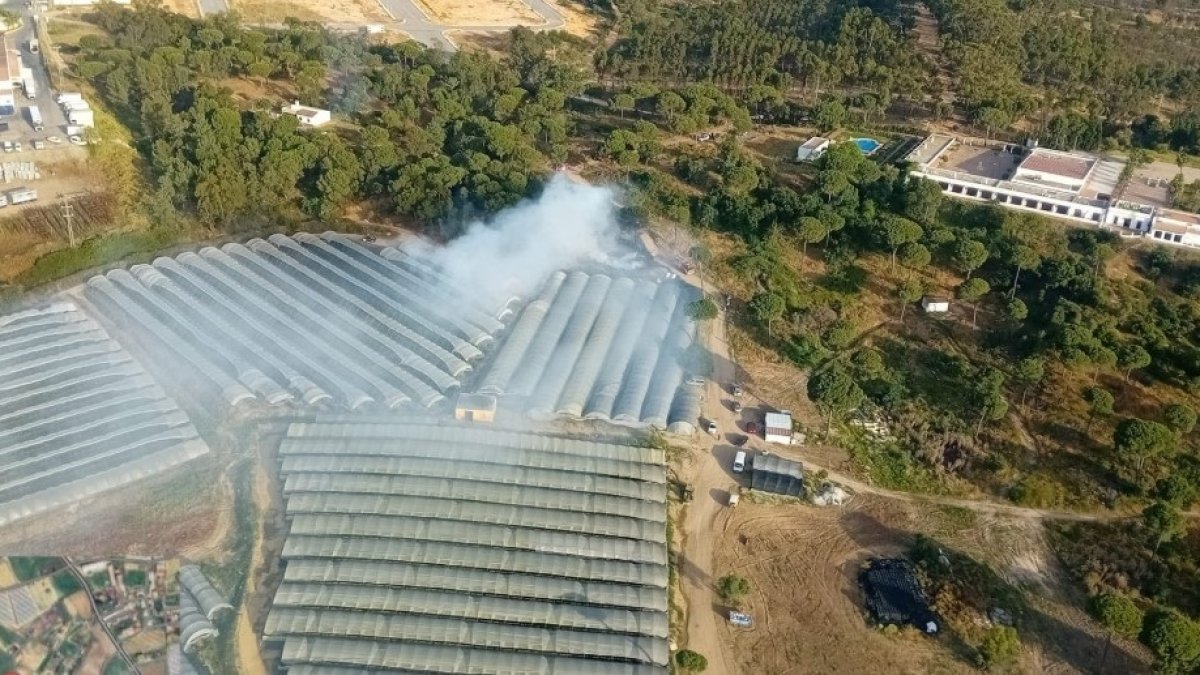 Nuevo incendio en Moguer. 