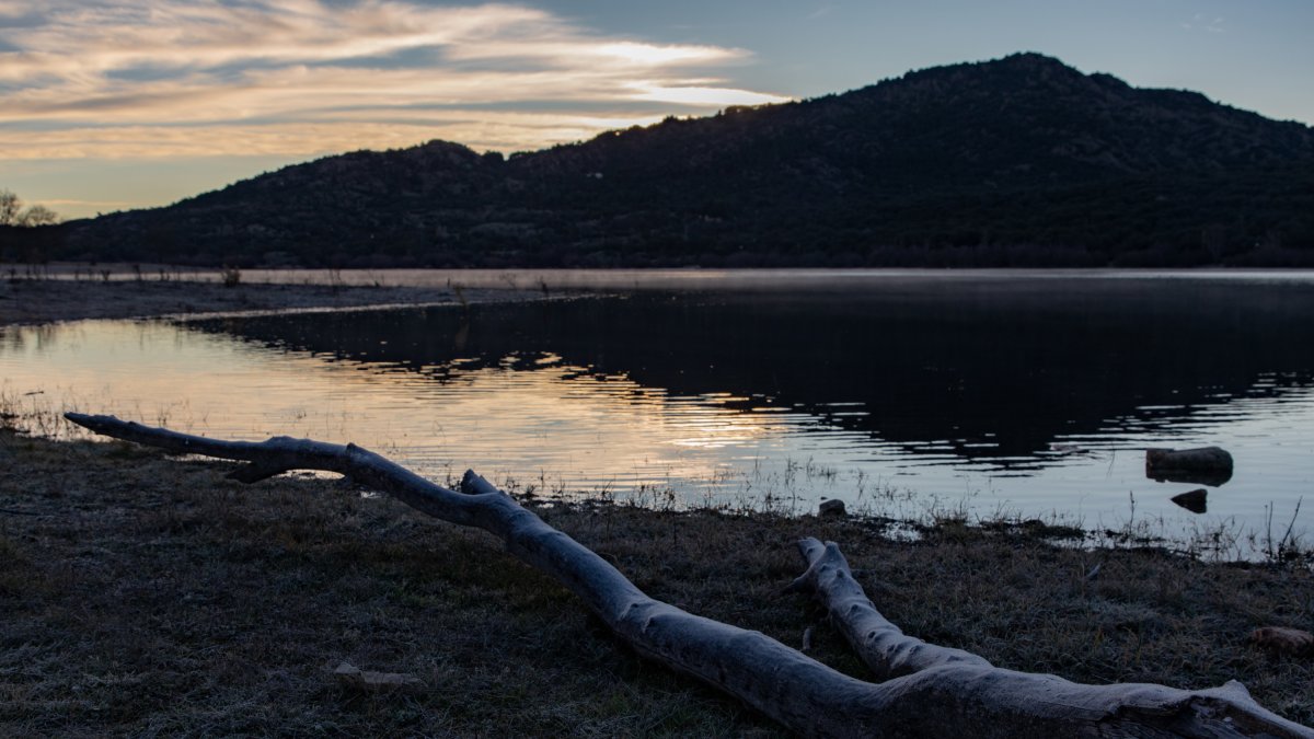 Archivo - Un tronco helado en el embalse de Santilla, a 21 de diciembre de 2023, en Manzanares el Real, Madrid (España).