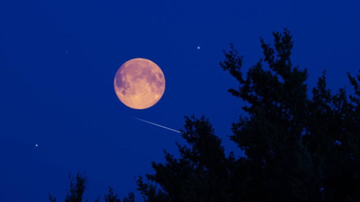Luna llena