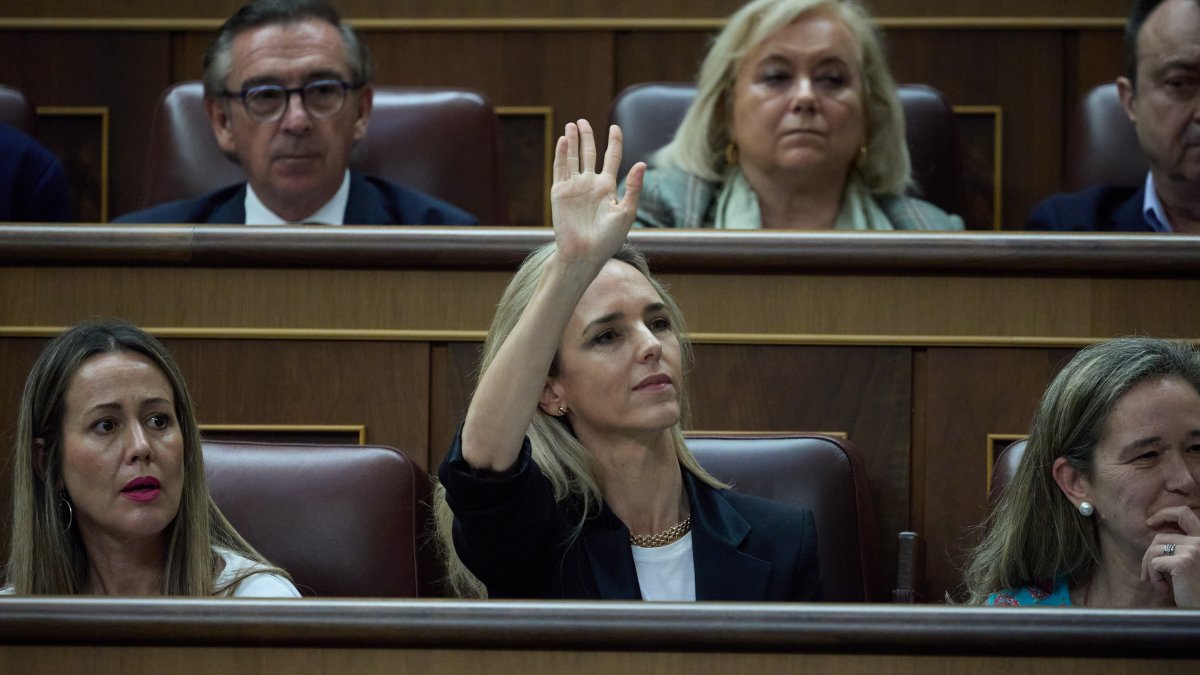 La diputada del PP, Cayetana Álvarez de Toledo