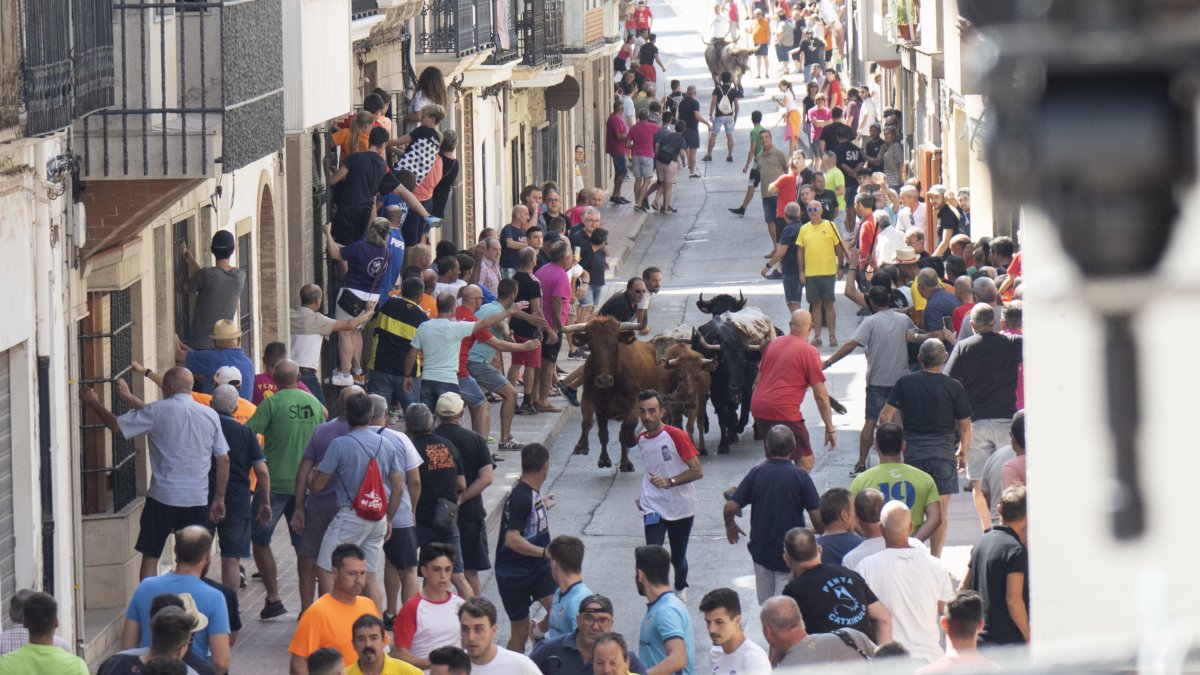 Festejo de 'bous al carrer' en imagen de archivo