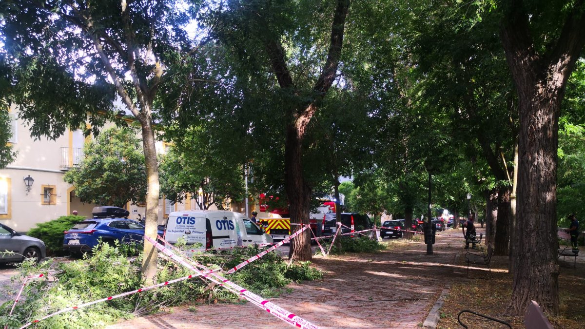 Los bomberos tras la tormenta en Madrid