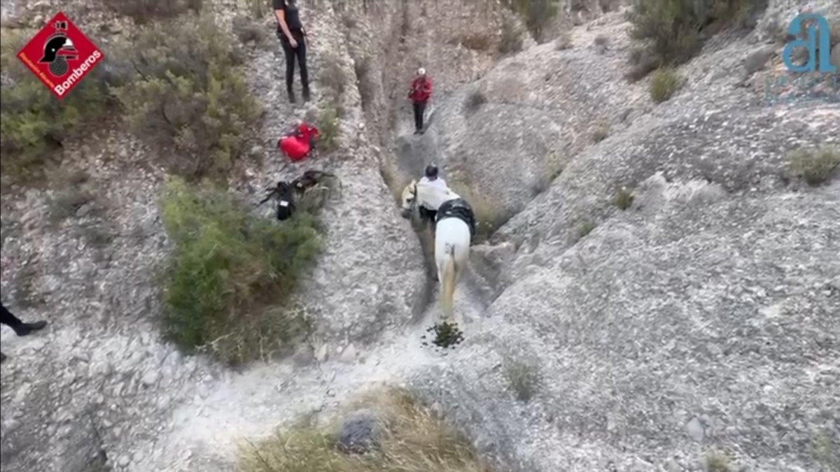 Efectivos de bomberos han rescatado a un caballo que se quedó atrapado en un sendero estrecho cuando cruzaba un barranco en el término municipal de Albatera (Alicante) y necesitaba que lo acompañaran a un camino más seguro.
REMITIDA / HANDOUT por DIPUTACIÓN DE ALICANTE
Fotografía remitida a medios de comunicación exclusivamente para ilustrar la noticia a la que hace referencia la imagen, y citando la procedencia de la imagen en la firma
27/6/2025