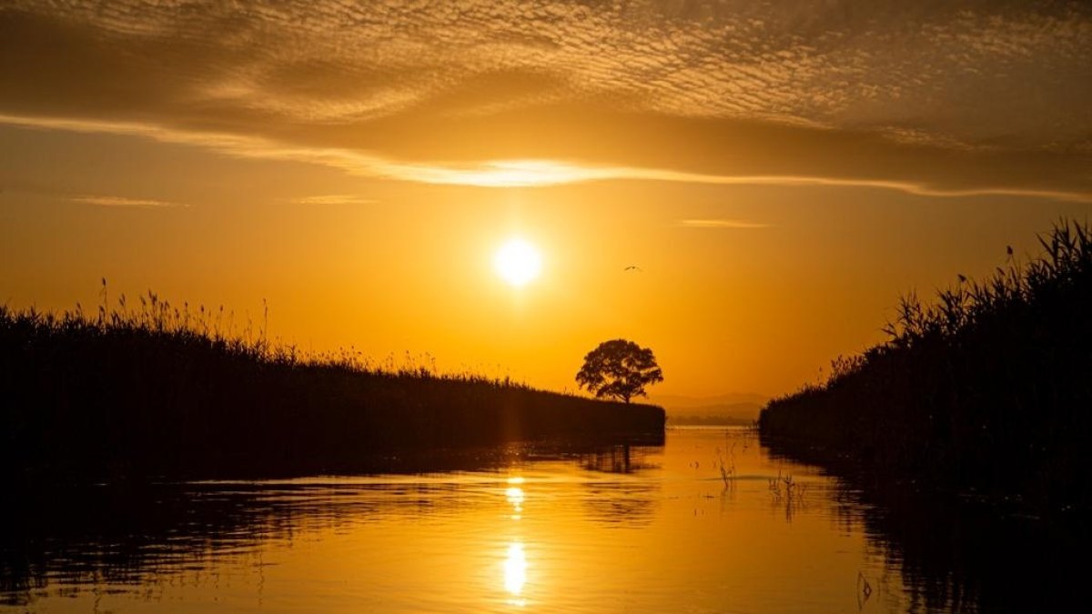 Atardecer invernal en la Albufera