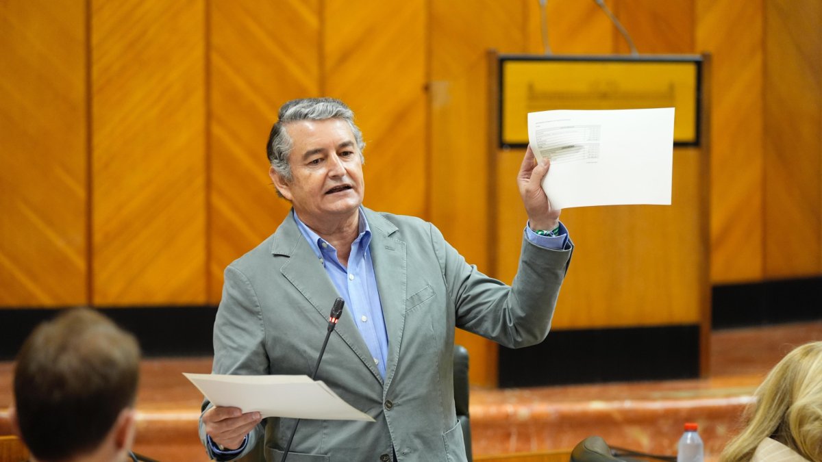 El consejero de la Presidencia, Antonio Sanz, en el Pleno del Parlamento andaluz.

MARÍA JOSÉ LÓPEZ/EUROPA PRESS
10/7/2025