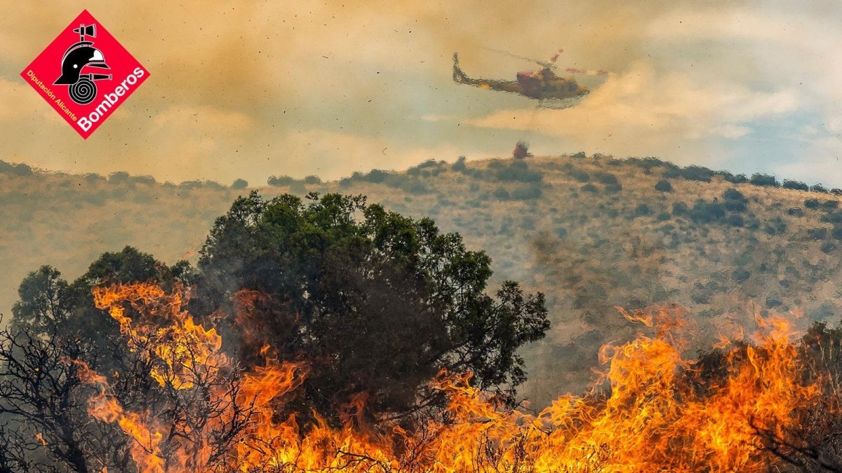 (Foto de ARCHIVO)
Trabajo de bomberos en el incendio forestal de Ibi
