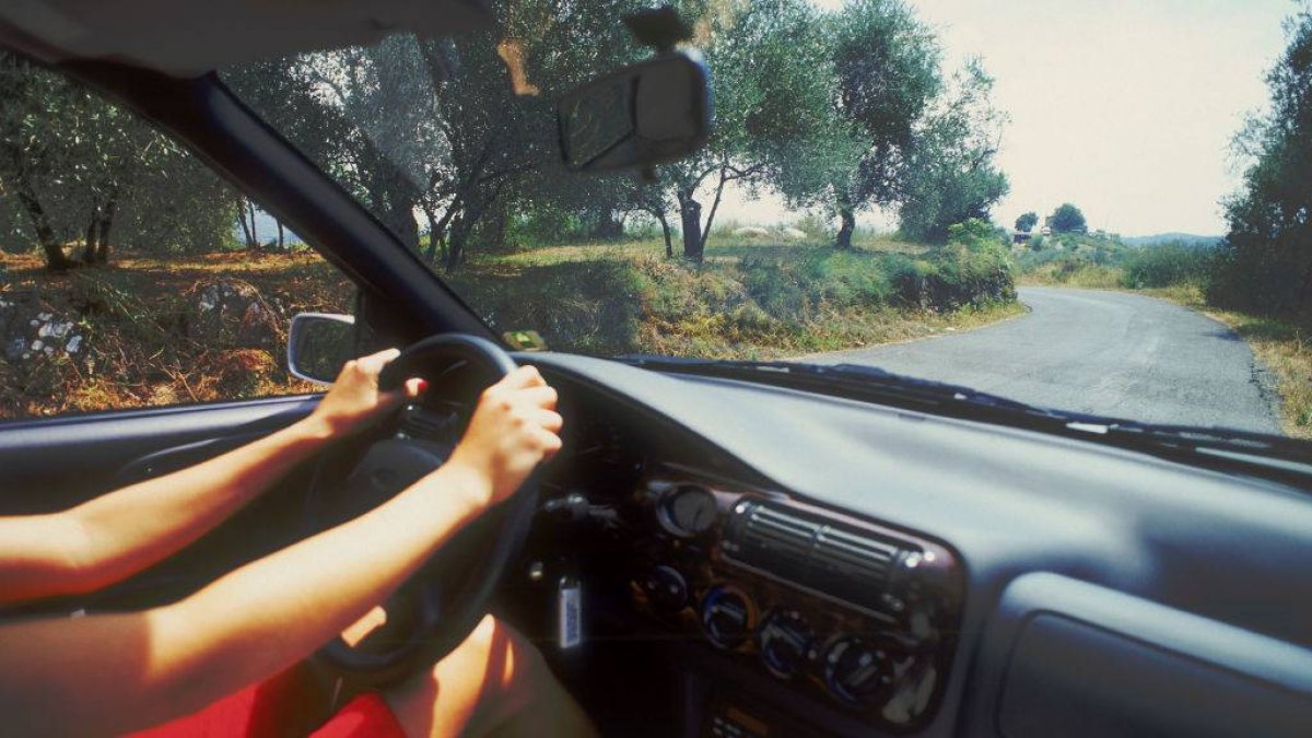 Conducción por carretera secundaria en Ibiza rodeada de olivos en un día soleado.