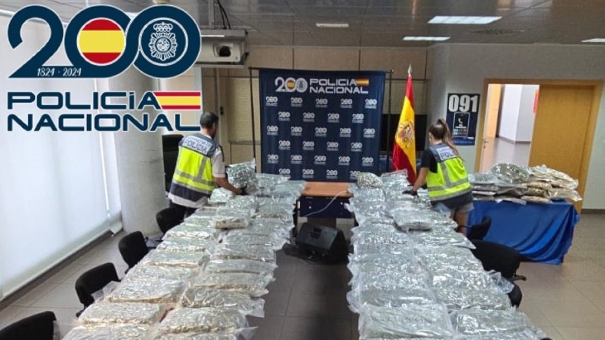 Material intervenido en Almassora