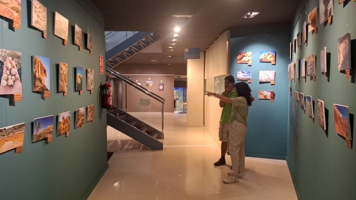 Visitantes del MUPE de Elche
REMITIDA / HANDOUT por MUPE
Fotografía remitida a medios de comunicación exclusivamente para ilustrar la noticia a la que hace referencia la imagen, y citando la procedencia de la imagen en la firma
04/9/2025