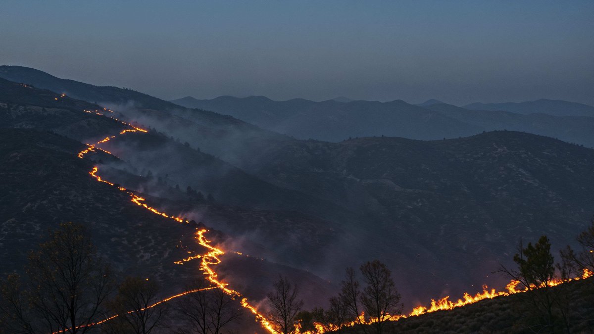 Los parques eólicos, aliados en la gestión forestal y en la prevención y extinción de incendios