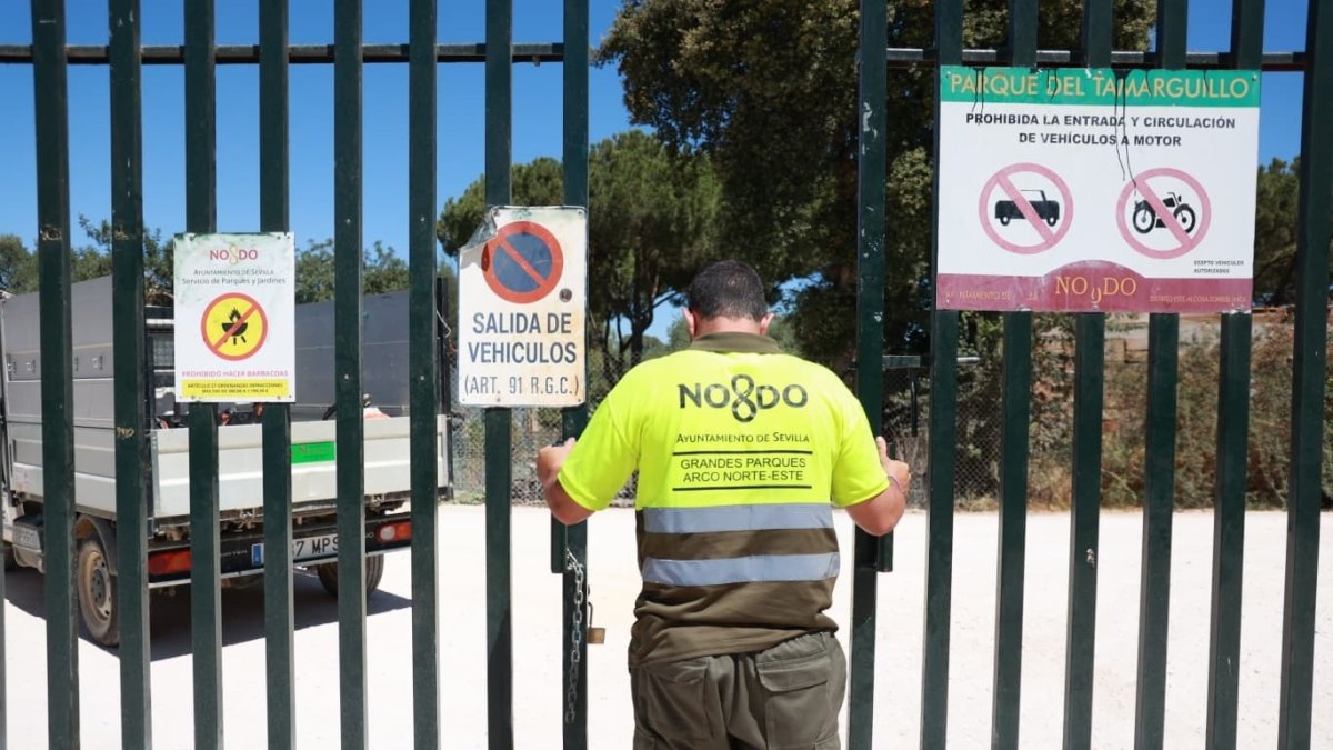 Sevilla registra más muertes de animales por la gripe aviar y cierra varios de sus parques