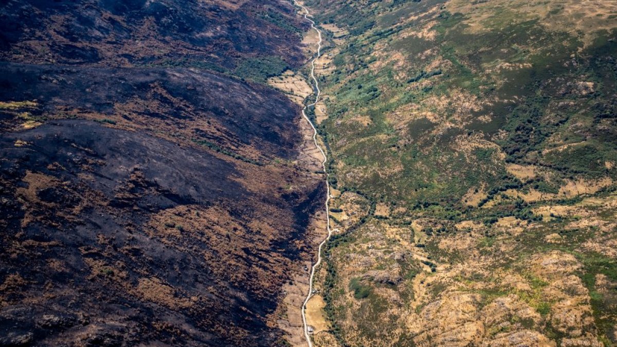 Castilla y León, 2ª comunidad más devastada por los incendios forestales, solo por detrás de Galicia