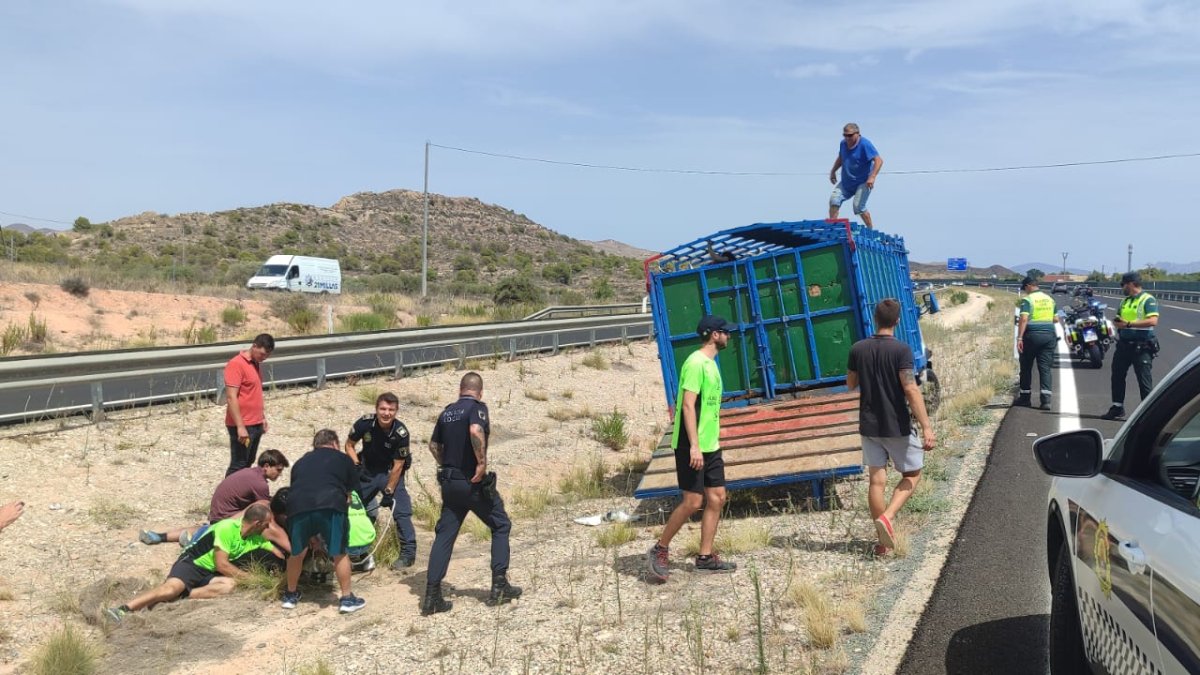 Una vaquilla a la fuga corta la AP-7 en Alicante y destapa un festejo taurino clandestino sin licencia