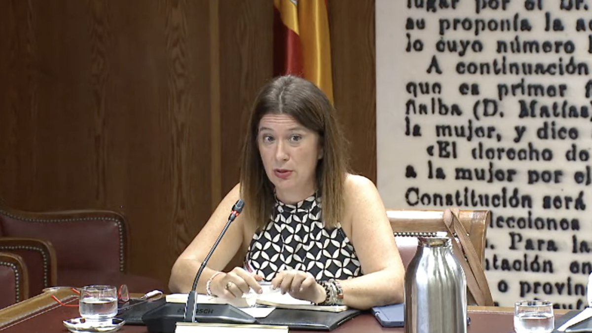 El show de la fontanera Leire Díez en el Senado: la "periodista" que "no sabe nada de Santos Cerdán"