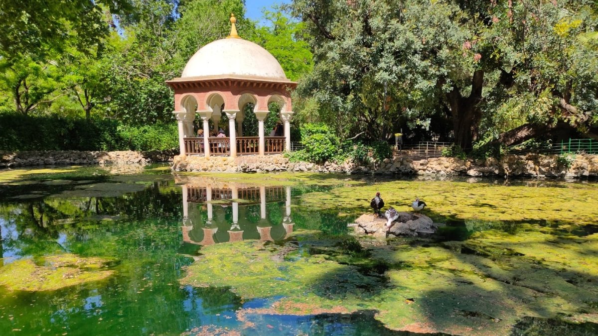 La gripe aviar obliga a cerrar el parque más emblemático de Sevilla