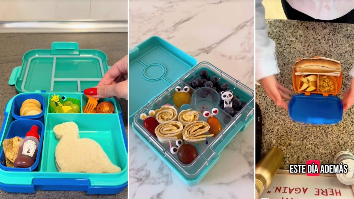 Los tuppers compartimentados permiten organizar la merienda escolar de forma atractiva, variada y sin mezclas indeseadas, fomentando una alimentación más divertida y saludable para los niños.