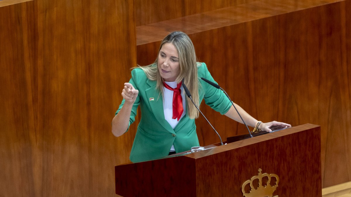 La portavoz del PSOE en la Asamblea, Mar Espinar.
