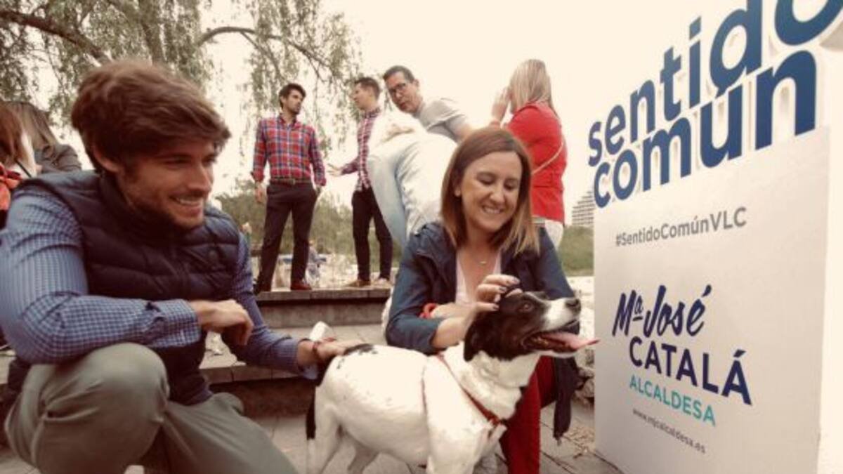 La apuesta de Catalá por hacer Valencia la mejor ciudad para mascotas: 50 encuestadores harán un macroestudio