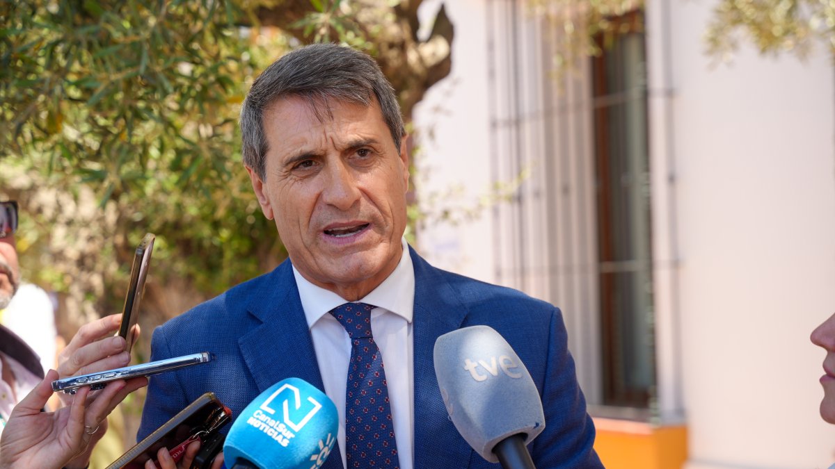 Polémicas declaraciones del delegado de Sánchez en Andalucía ignorando lo que opinan los jueces