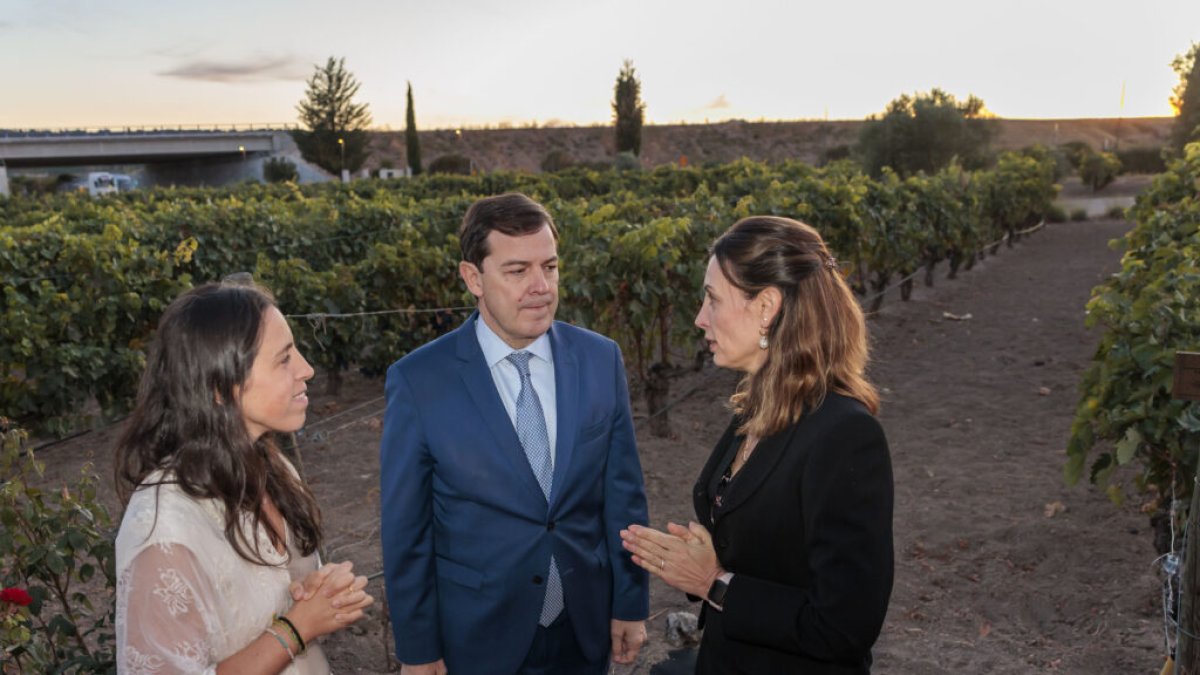 Castilla y León impulsa el sector del vino con 70 millones en modernización y promoción global