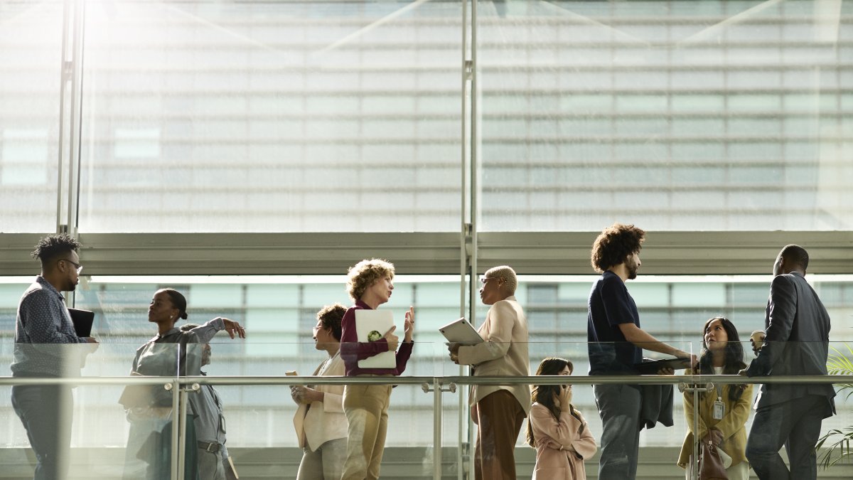 en un año las posibilidades de encontrar empleo se hunden un 74%